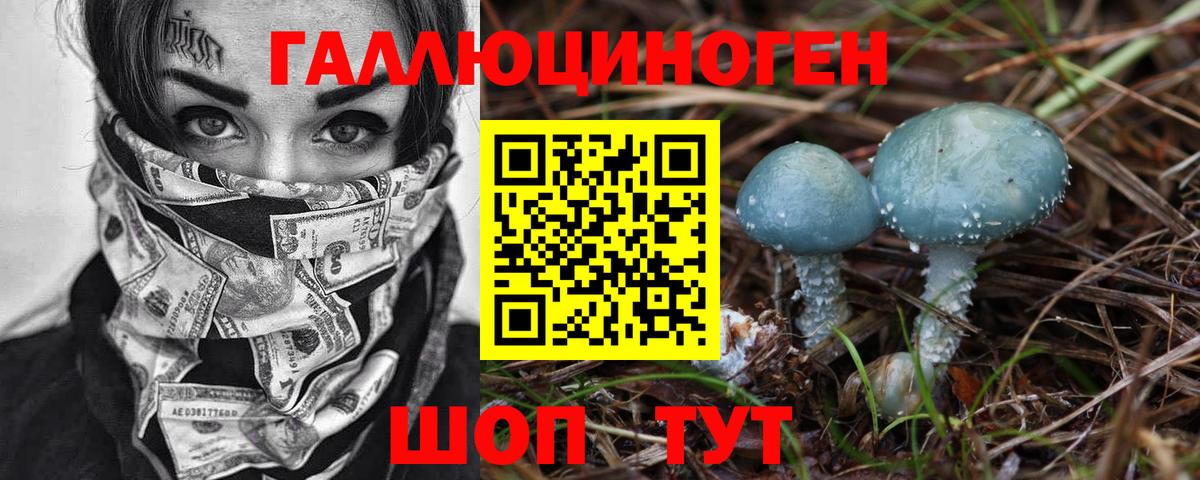 Галлюциногенные грибы прущие грибы  Вход с VPN  Алейск  закладка  Псилоцибиновые грибы MAGIC MUSHROOMS 